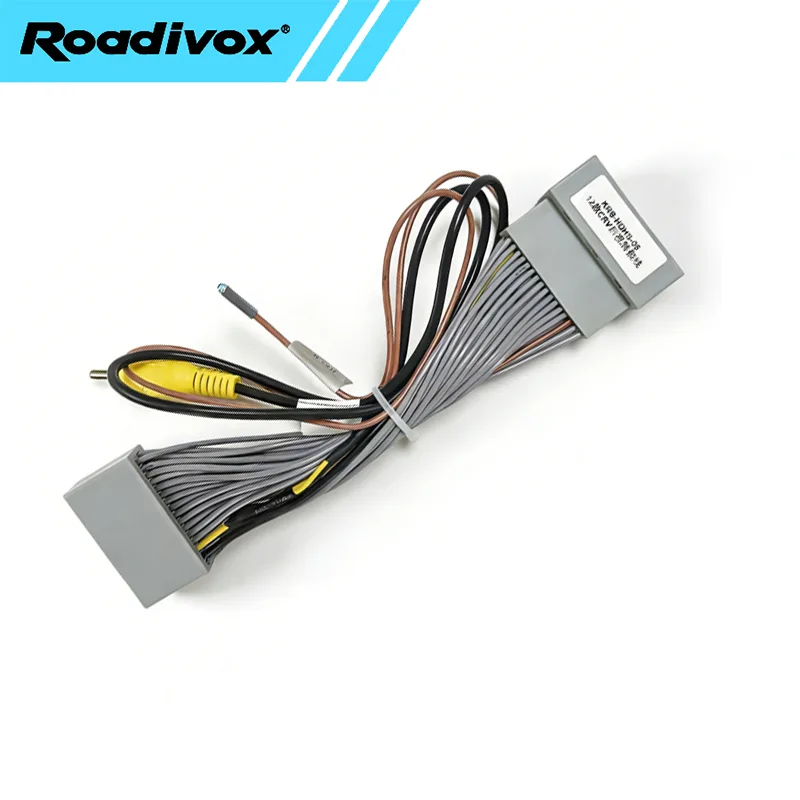 Car Accessories Usa - Câble convertisseur de prise vidéo de